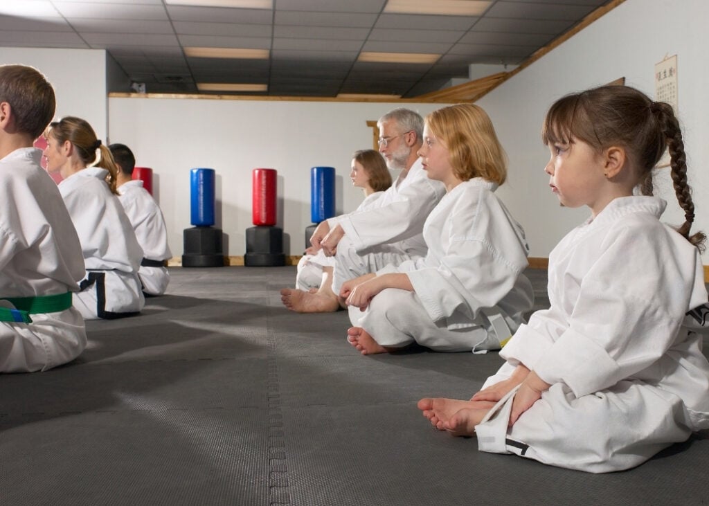 Martial Arts Insurance for Schools