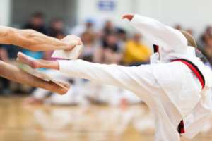 Belt Testing and Demo Event Insurance Owners Overlook