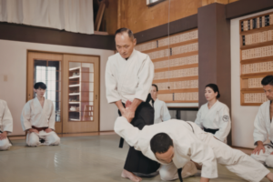Virtual Martial Arts Classes